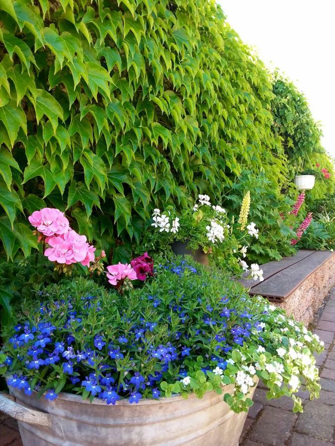 Kleines Zuhause Apartment มัคเดอบวร์ก ภายนอก รูปภาพ